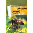 فیلم آموزش بیماریهای زنبور عسل